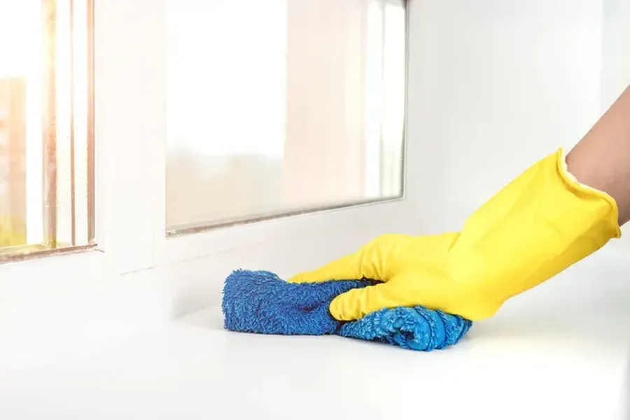 How Deep Cleaning Prevents Mold And Mildew Growth Wolcott, CT