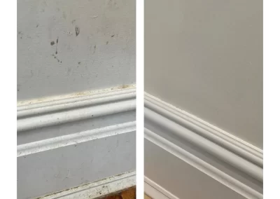 Top Home Cleaning Services